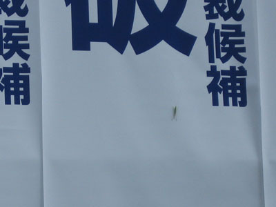 a0029437_21153930.jpg