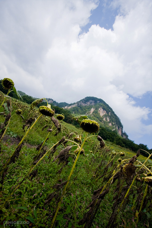 b0144437_1755715.jpg