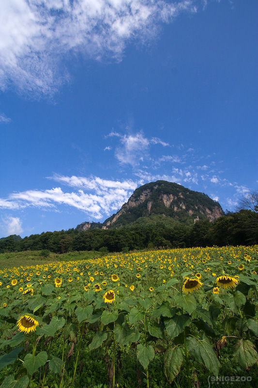 b0144437_1756297.jpg