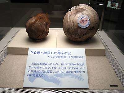 c0019338_22143582.jpg