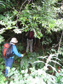 c0077338_7145112.jpg