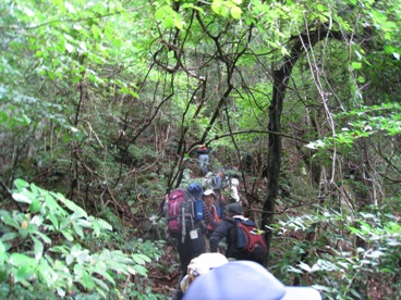 c0077338_7153522.jpg