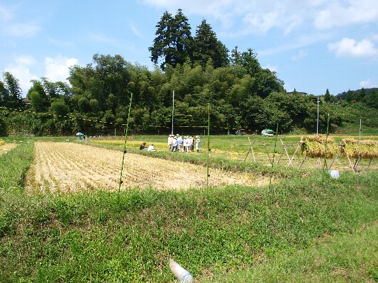 c0072843_198722.jpg