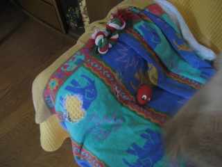 c0122744_20414743.jpg