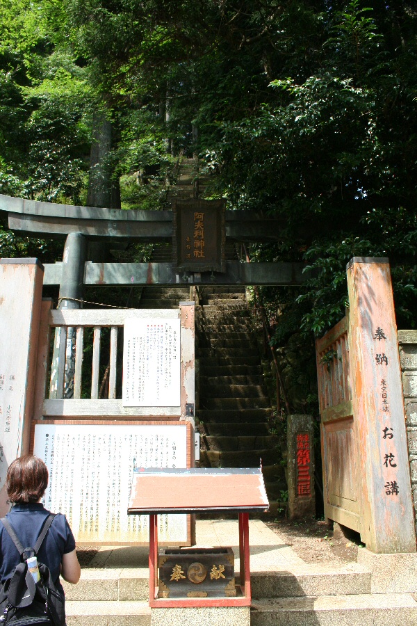 f0174244_16122282.jpg