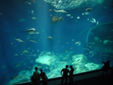 c0122445_23294317.jpg