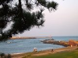 c0122445_23295942.jpg
