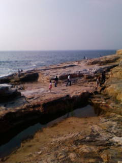 c0134145_19595934.jpg