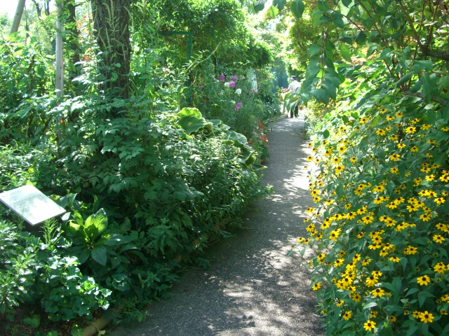 b0039246_18394887.jpg