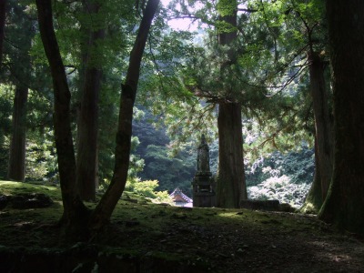 d0140655_118026.jpg