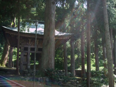 d0140655_1181676.jpg