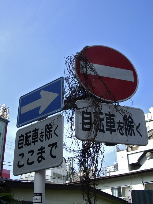 d0100156_2052148.jpg