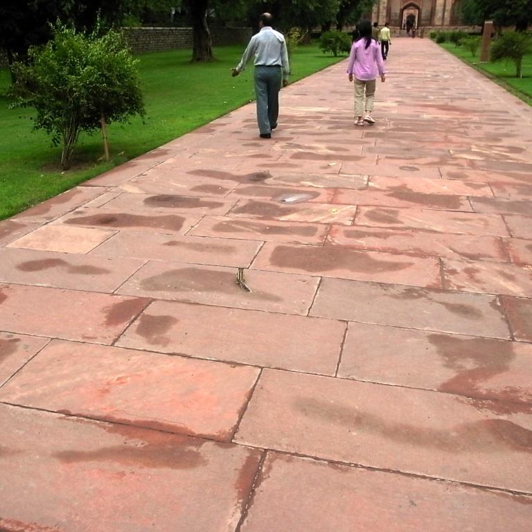 f0178061_0351675.jpg
