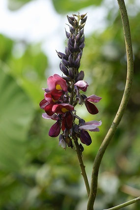 e0054067_22514426.jpg