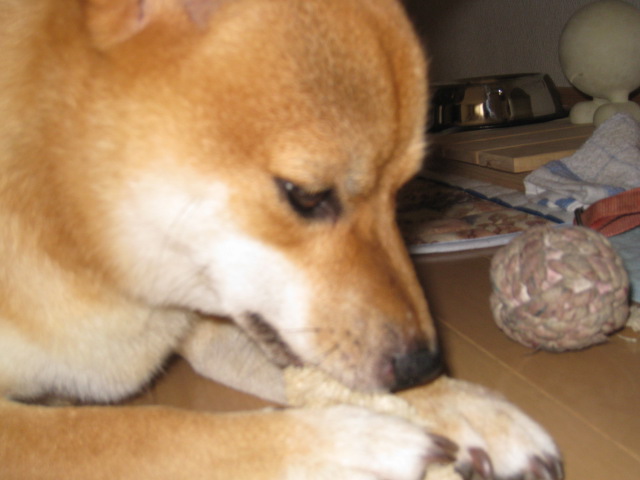 c0171368_22392214.jpg