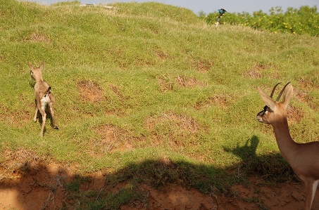 e0066474_149979.jpg