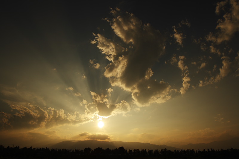 b0083779_22264648.jpg