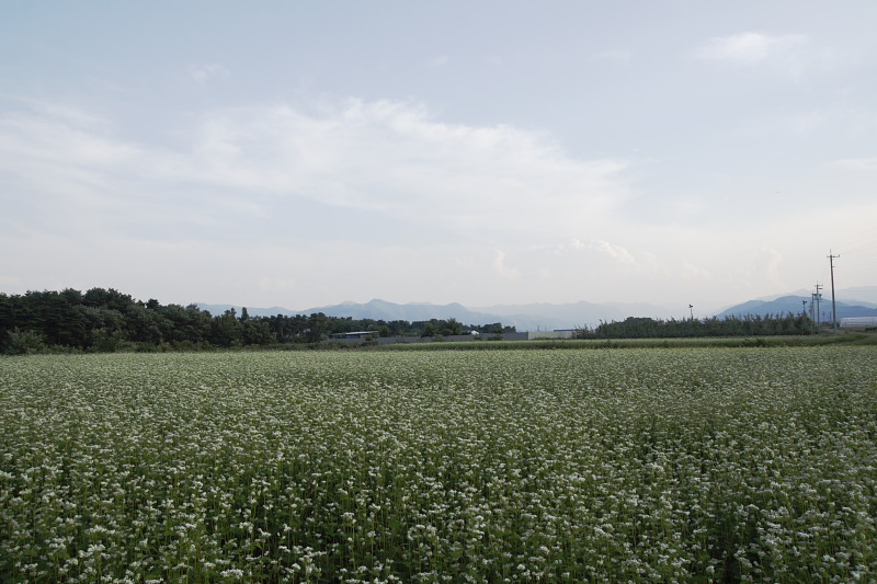 b0083779_22271593.jpg