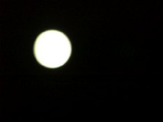 c0072379_2362731.jpg