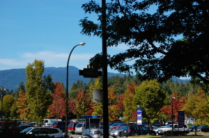 d0129786_15493630.jpg