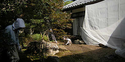 b0029488_23134927.jpg