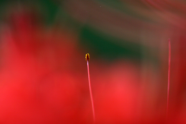 b0067789_2227931.jpg