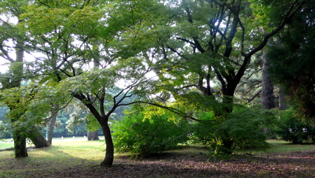 a0079292_12473153.jpg