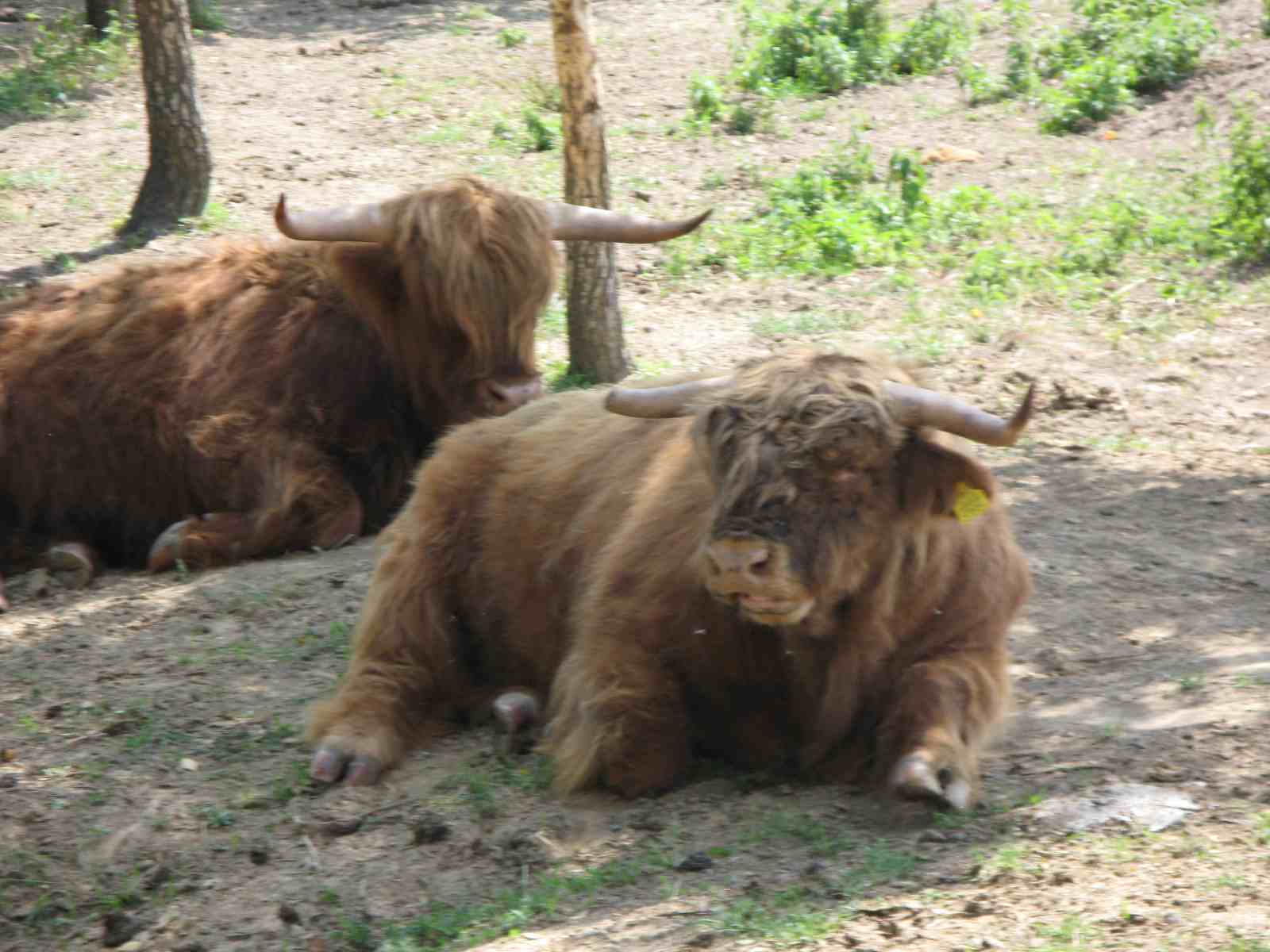 f0129897_456476.jpg
