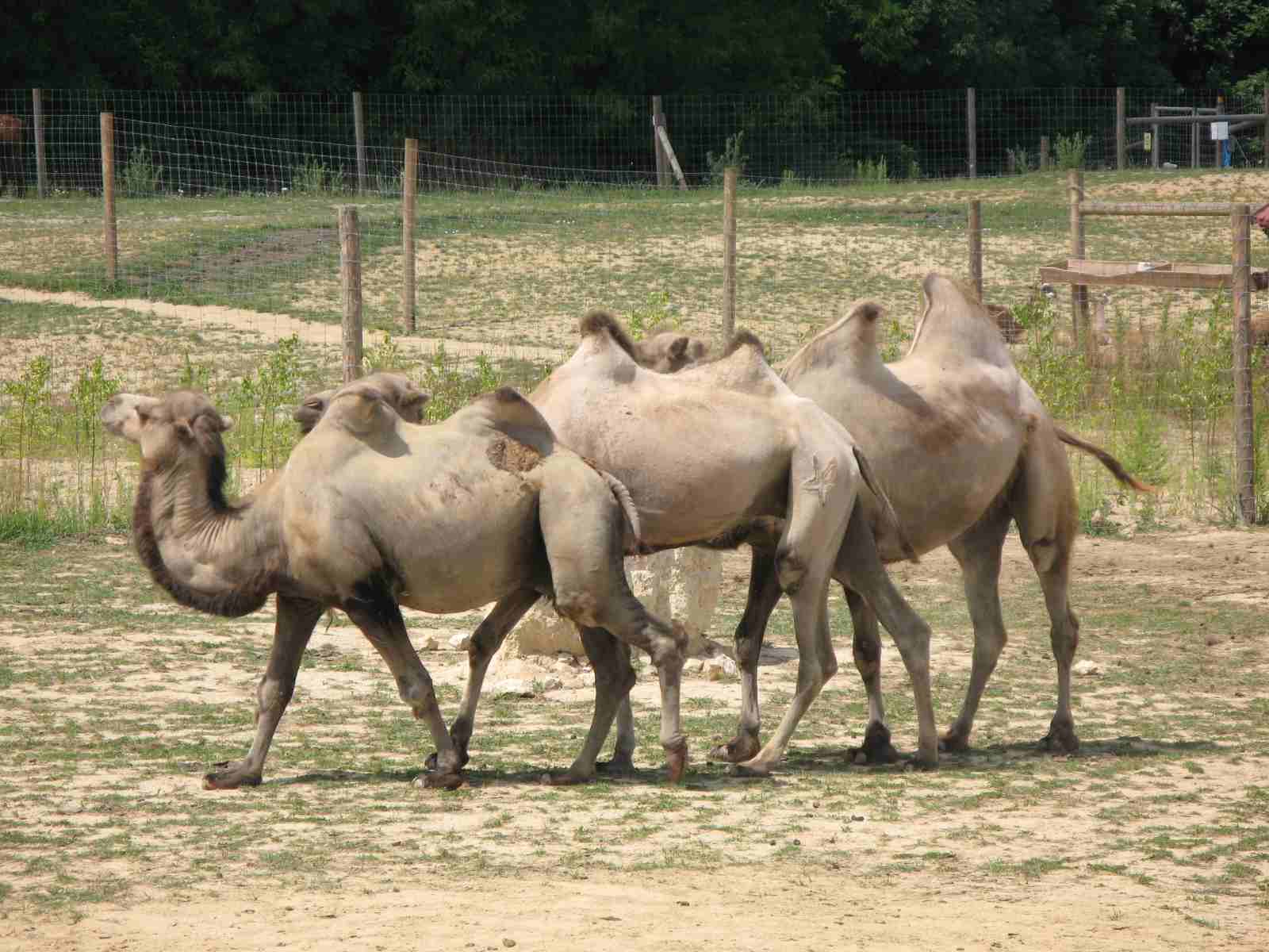 f0129897_512796.jpg
