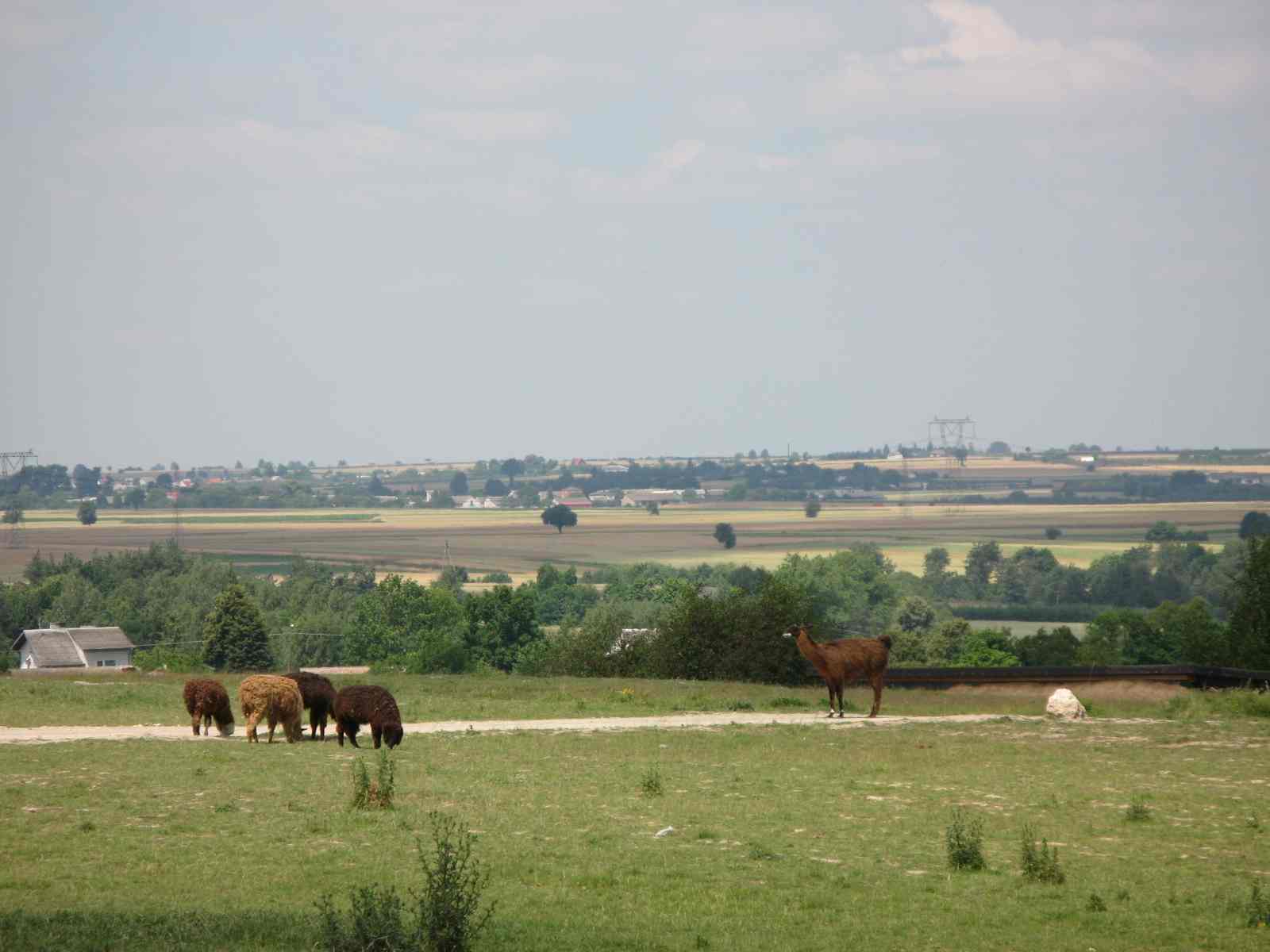 f0129897_553085.jpg