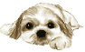 c0090198_2115813.gif