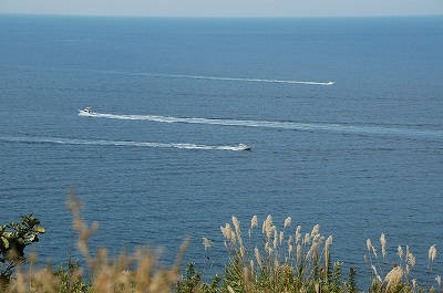 f0157901_2045024.jpg
