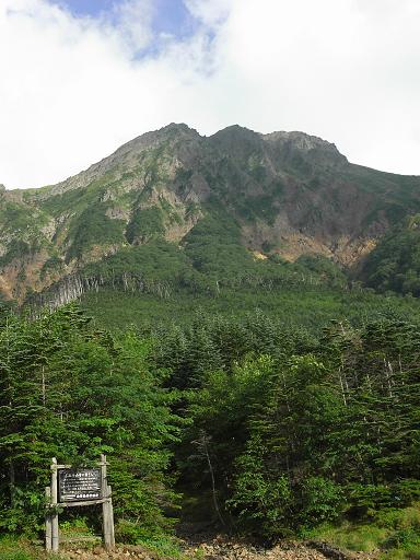 b0116703_6104767.jpg