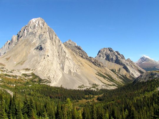 b0051109_1120566.jpg
