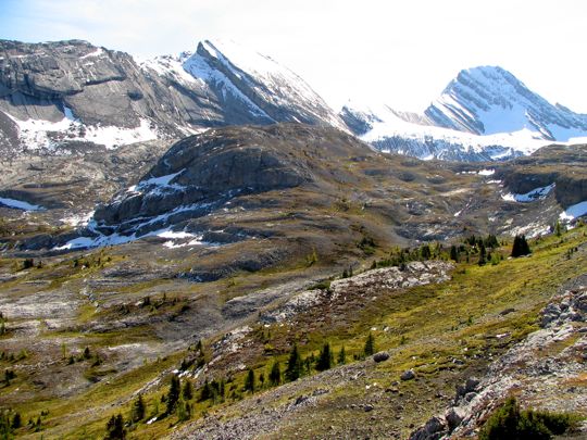 b0051109_11251739.jpg