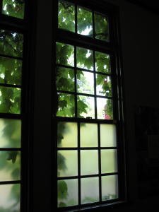 c0178009_17463975.jpg