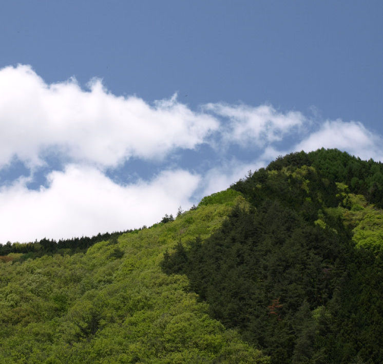 e0114211_5353725.jpg
