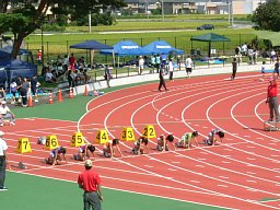 f0153115_1142815.jpg