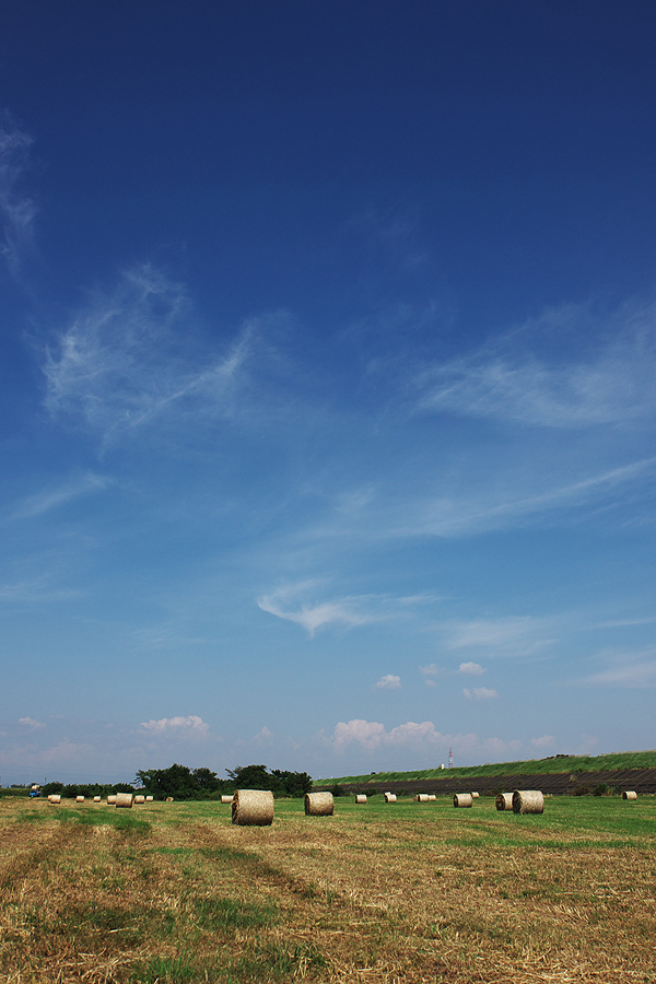 c0115616_1602792.jpg