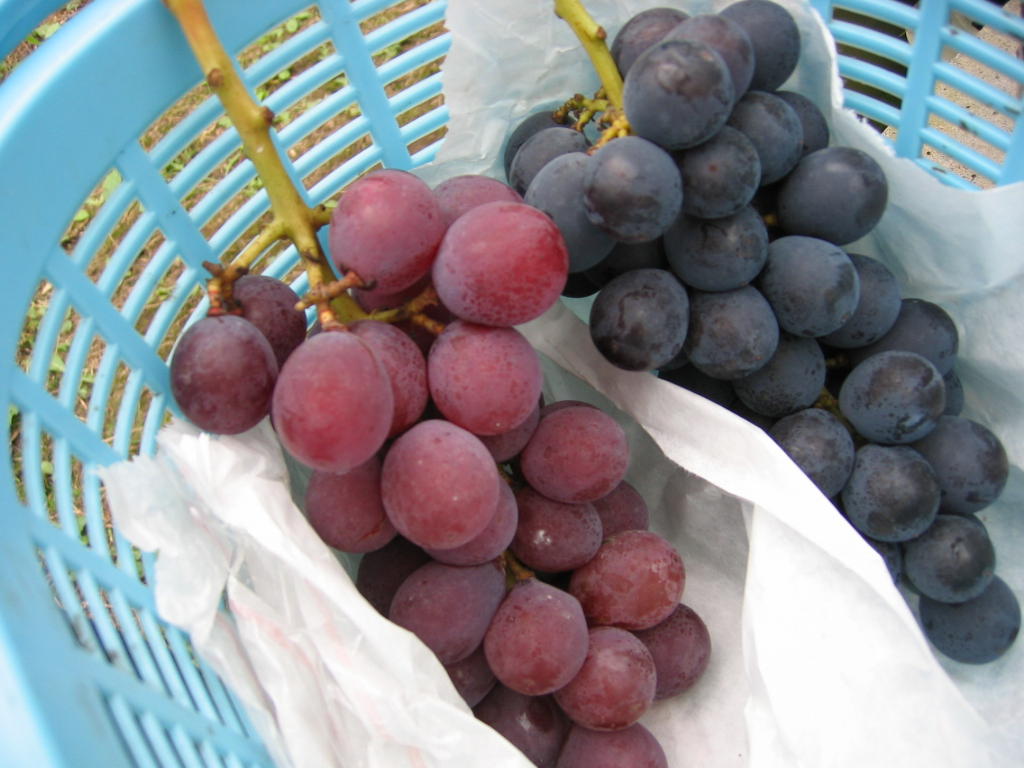 f0182618_22524168.jpg