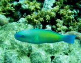 a0043520_21353629.jpg