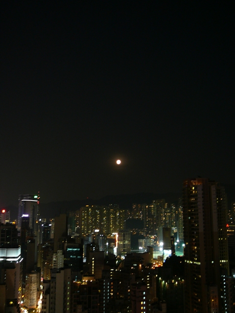 b0061320_23452486.jpg