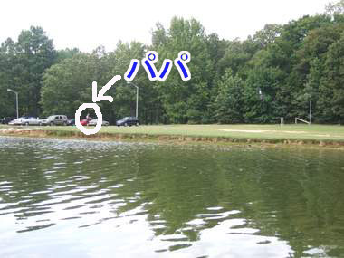 c0151122_944094.jpg