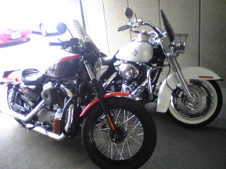 a0099129_169622.jpg