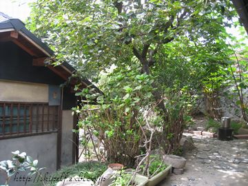 c0134734_2354818.jpg