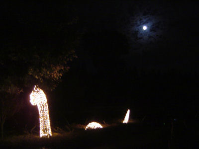 b0024435_1249340.jpg