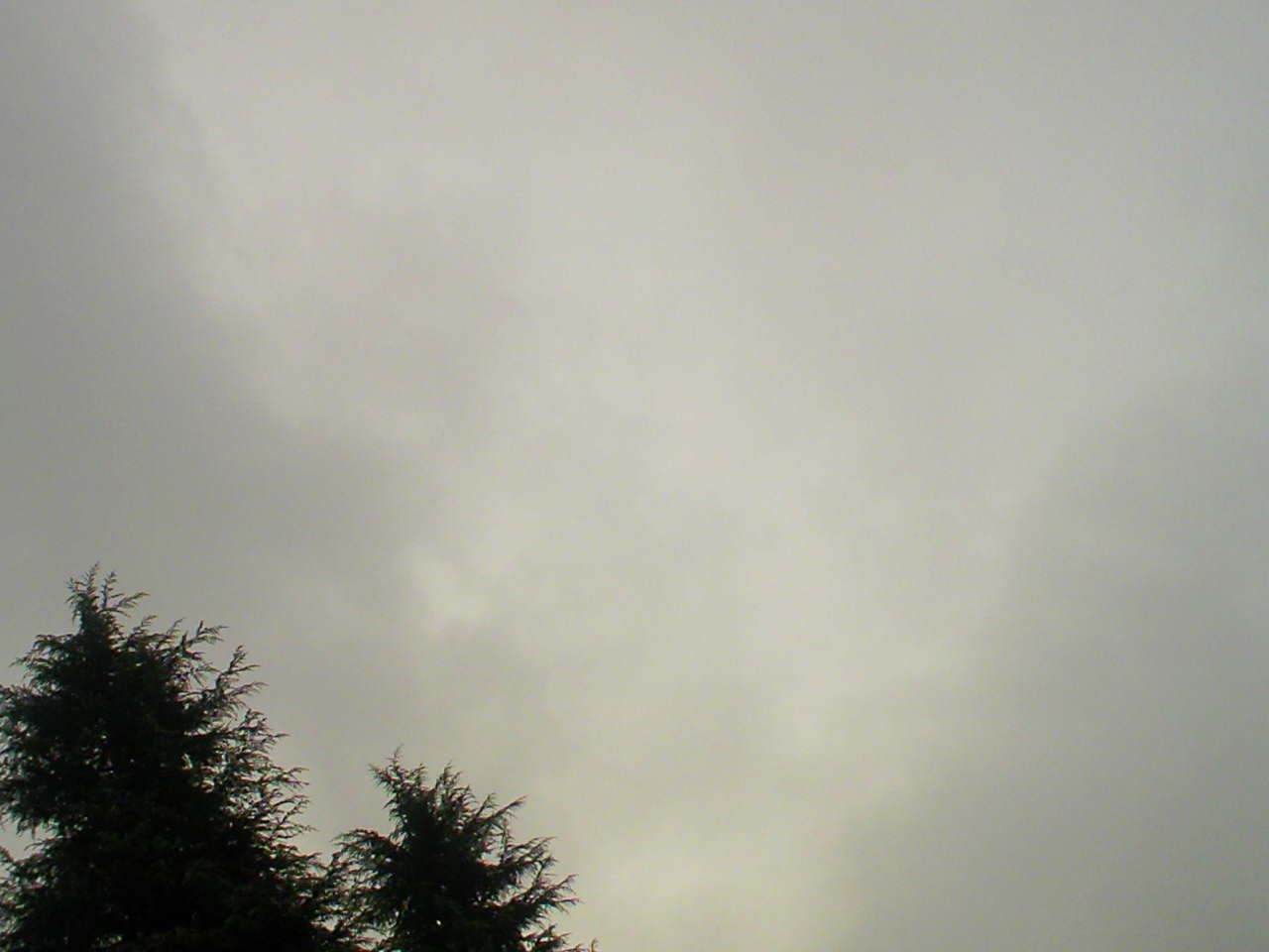 c0125637_836775.jpg
