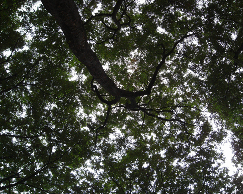 d0152837_20511769.jpg