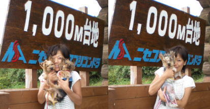 b0001440_21173879.jpg