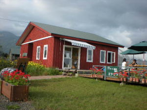 b0001440_21193531.jpg